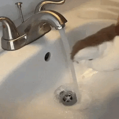 Juguete realista con sonido y movimiento para gatos